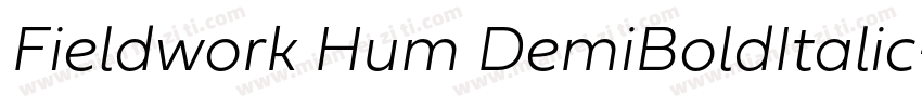 Fieldwork Hum DemiBoldItalic字体转换